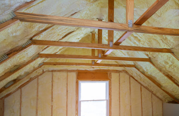 Best Insulation Removal  in Lake Heritage, PA