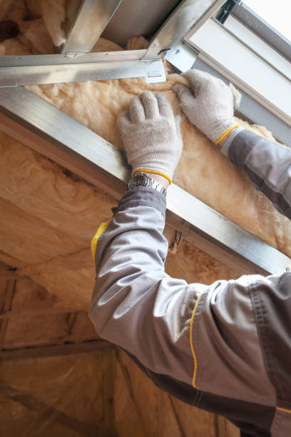 Best Insulation for New Construction  in Lake Heritage, PA